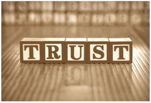 离岸资产规划入门 巧用信托保护您的美国房产 李娟房地产经纪