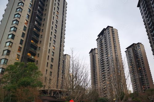 仁恒公园世纪优点 不足,仁恒公园世纪怎么样,仁恒公园世纪周边房产中介经纪人评价
