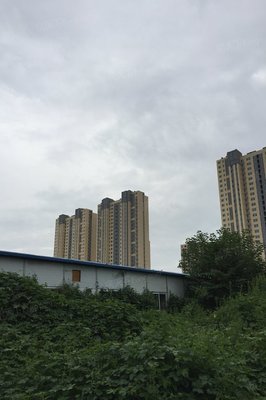 查看九州方圆国际靠谱人气经纪人!