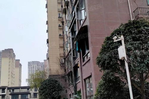 龙湖领御优点 不足,龙湖领御怎么样,龙湖领御周边房产中介经纪人评价 自贡安居客